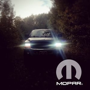 Meet your Posher, Cody